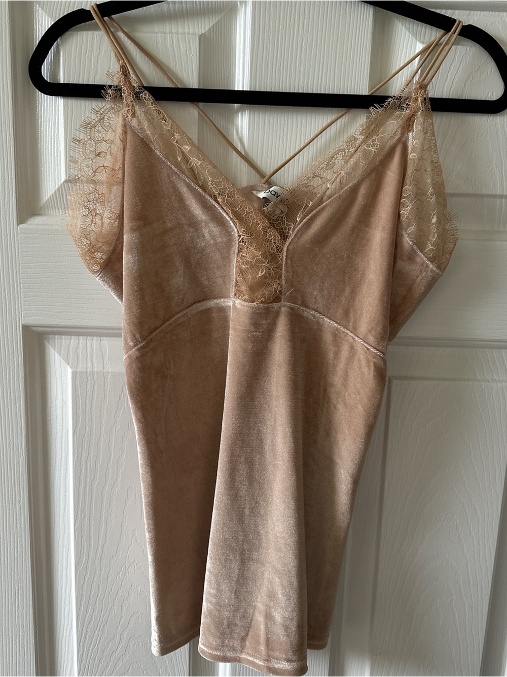 Women's Lace-Trim Velvet Cami in Nude